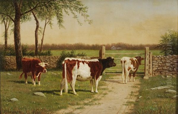 Cows At A Gate - view 1