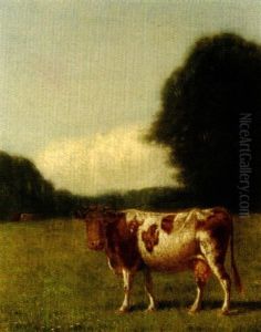 Cow In A Summer Pasture by Clinton Loveridge