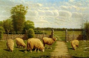 The Grazing Flock by Clinton Loveridge