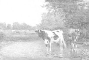 Cows Watering In A Stream by Clinton Loveridge