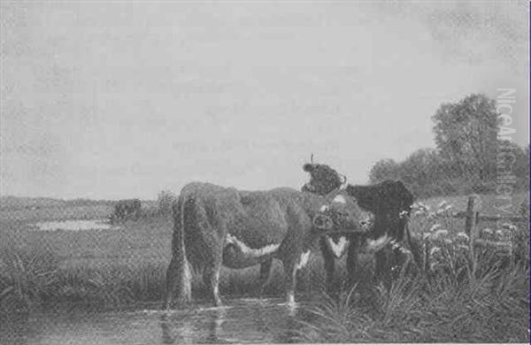 Cows Nuzzling In An Extensive Landscape - view 1