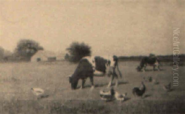 Cattle And Chickens - view 1