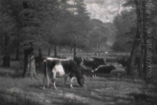 Cows In A Pasture - view 1