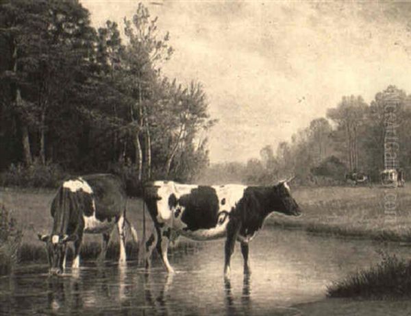 Cows Wading - view 1