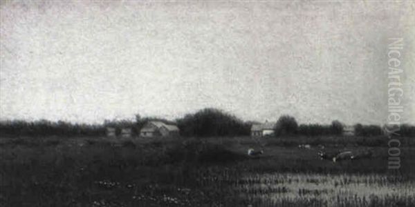 The Savanah Meadow - view 1