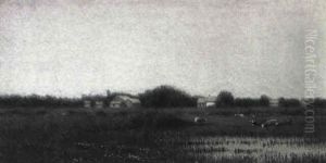 The Savanah Meadow