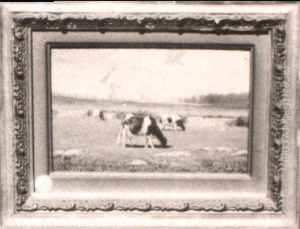 Grazing Cows - view 1