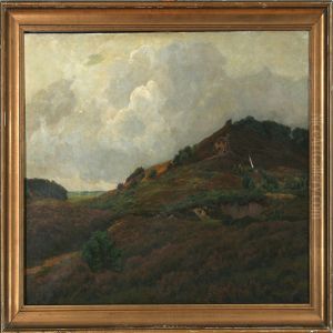 Overlooking A Danish Moor Landscape
