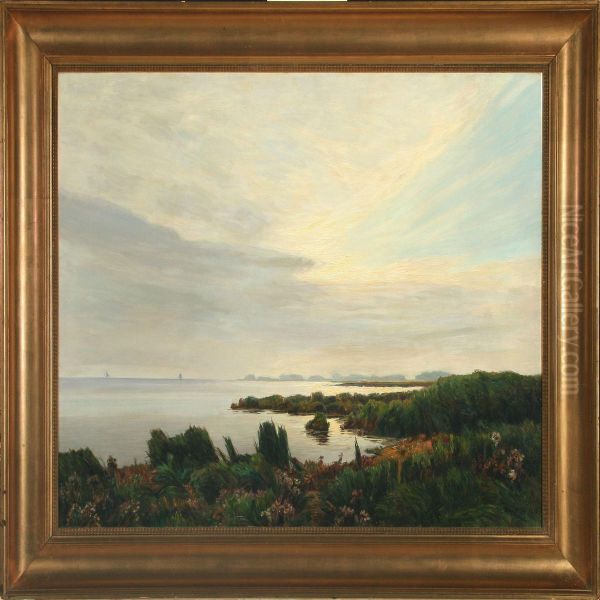 Seashore - view 1