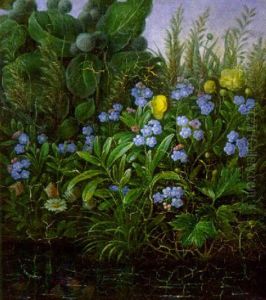 Sommerlandskab Med Blomster Der Spejler Sig I En So