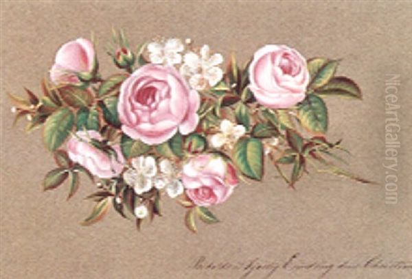 Roser Og Blomstrende Frugtgrene - view 1