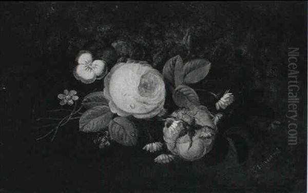 Roser, Stedmoderblomster Og Bellis - view 1
