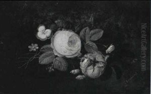 Roser, Stedmoderblomster Og Bellis Roser, Stedmoderblomster Og Bellis