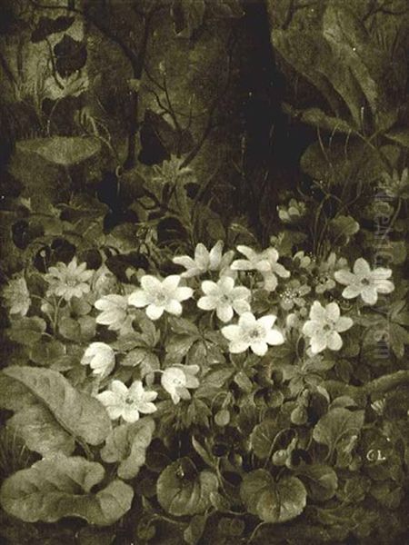 Woodland Flowers - view 1