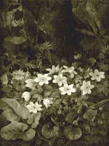 Woodland Flowers by Christine Marie Lovmand