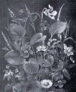 Blomsterbillede Blomsterbillede