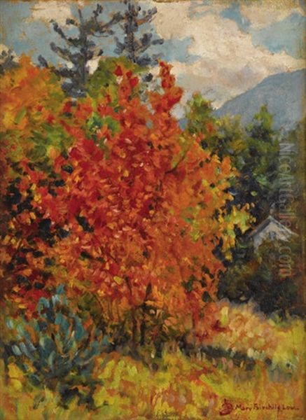 Autumn Leaves - view 1