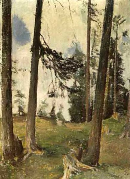 Arvenstudie Engadin - view 1