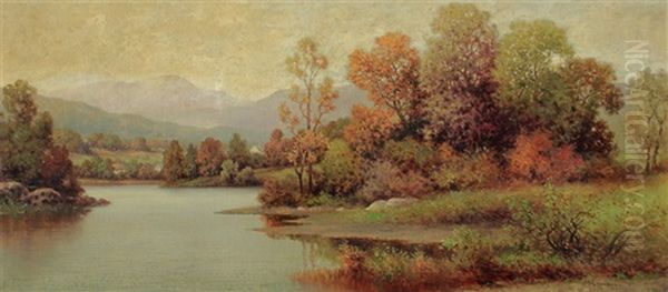 Panoramic River Landscape - view 1