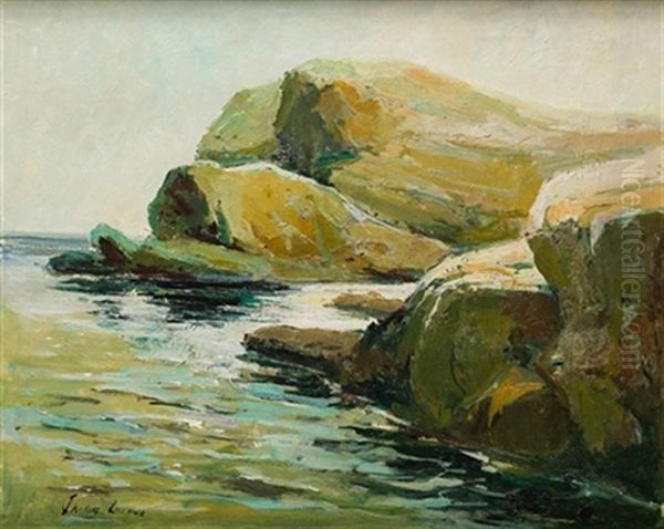 Paisaje Costero - view 1