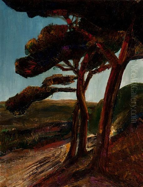 Scotts Pines In A Hilly Landscape - view 1