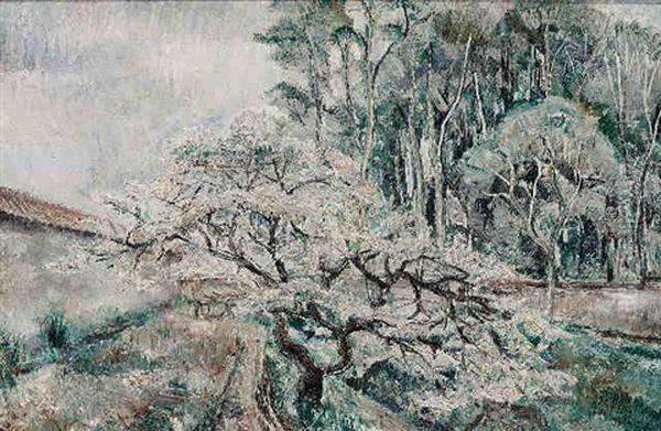 Landschap - view 1