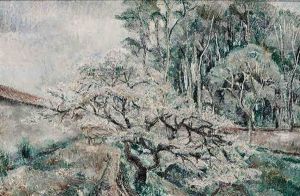Landschap Landschap