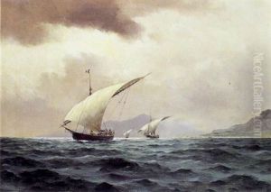 Marine Fra Middelhavet Ved Messina