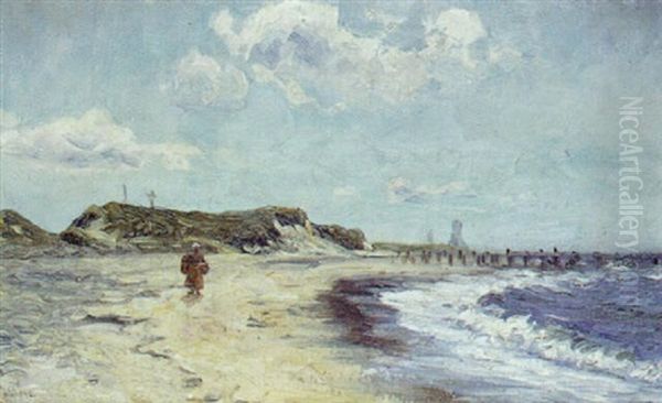 Kystparti Med Gaende Kone Pa Stranden - view 1