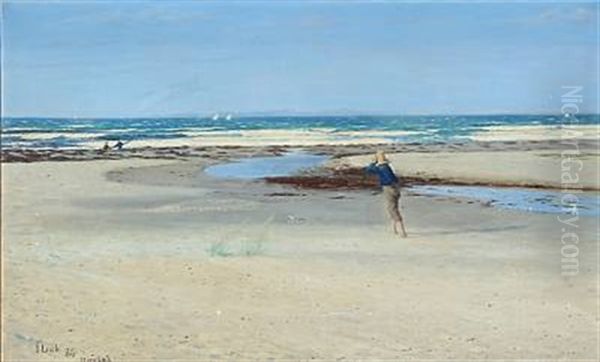 Strandbillede. Frisk Vind - view 1