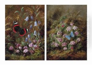 A Red Admiral Butterfly Among Hairbells; And A Silver Studded Blue Butterfly Amongst Heather by Albert Durer Lucas