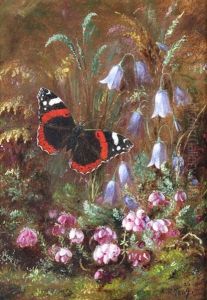 Red Admiral, Heather And Harebell by Albert Durer Lucas
