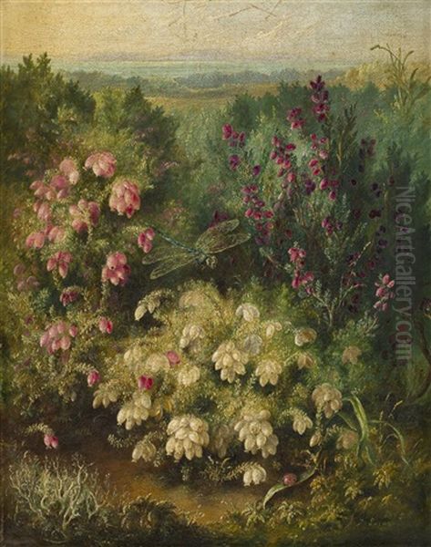A Still Life Of Heathers And Dragon Fly - view 1