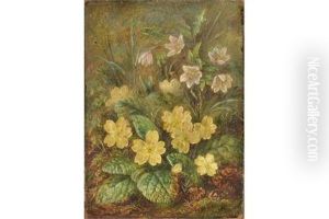 Wild Primroses by Albert Durer Lucas