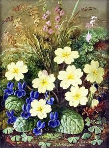 Still Life Of Wild Flowers by Albert Durer Lucas