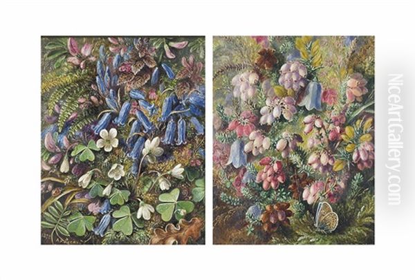 Bluebells And Snowdrops (+ Gorse, Bluebells And A Butterfly; 2 Works) - view 1