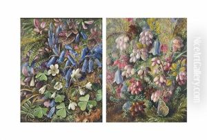 Bluebells And Snowdrops (+ Gorse, Bluebells And A Butterfly; 2 Works)