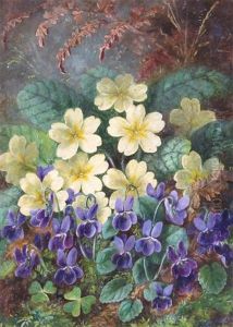 Primroses And Violets by Albert Durer Lucas