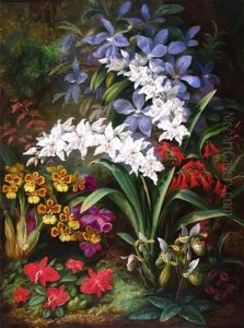 Still Life Of Orchids On A Forest Floor