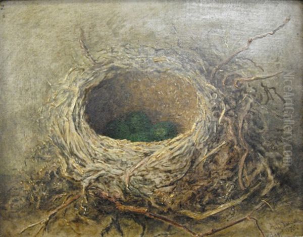 Bird's Nest (+ Another; Pair) - view 1