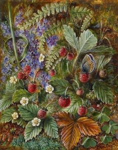 Wild Strawberries And A Butterfly, Veronica Fern And Moss by Albert Durer Lucas