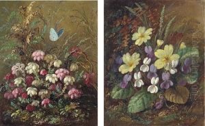 Cross-leaved Heath (+ Primroses And Violets, 1893; 2 Works) by Albert Durer Lucas