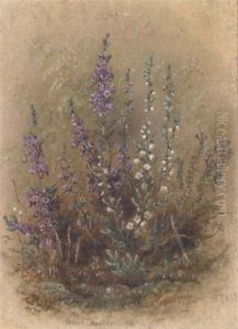 Scotch Heather And Deer Grass by Albert Durer Lucas