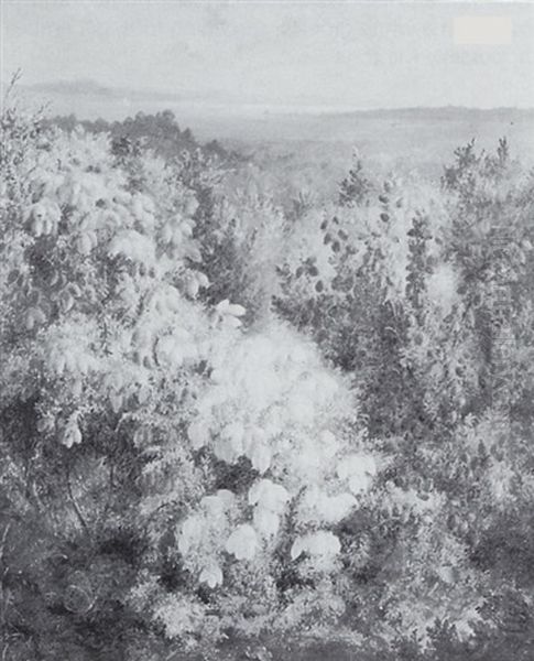 Flowering Shrubs At Southampton - view 1