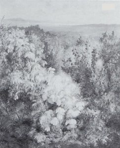Flowering Shrubs At Southampton by Albert Durer Lucas