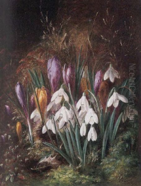 Spring Flowers - view 1