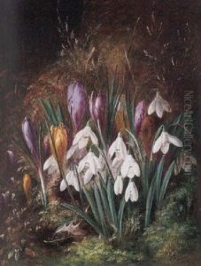 Spring Flowers by Albert Durer Lucas
