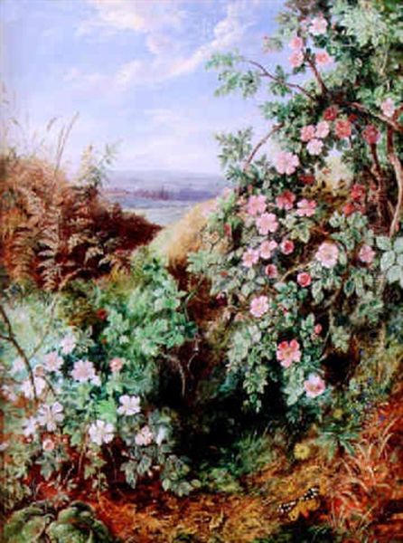 Dog Roses - view 1