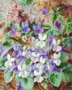Wild Violets by Albert Durer Lucas