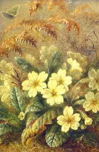 A Still Life Of Primroses by Albert Durer Lucas